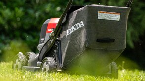 View from the back of the battery lawen mower mowing the lawn. 