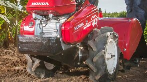 Gros plan d’un motoculteur labourant le sol d’un champ de maïs.  